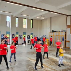 Family Kung Fu at Ching Mo Schools
